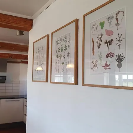 Answald - 250m From The Sea By Interhome בית נופש *
